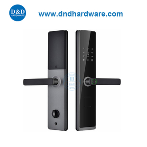 Home Security Digital Alarm Smart Finger-отпечатки дверной двери с механическим ключом-DDDL008