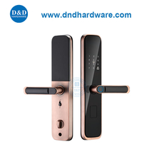 Античный медный отпечаток без ключа Smart Digital Door Locks для квартиры DDDL004
