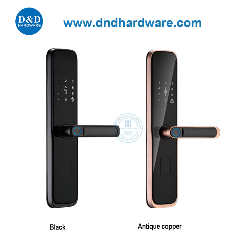 Античный медный отпечаток без ключа Smart Digital Door Locks для квартиры DDDL004